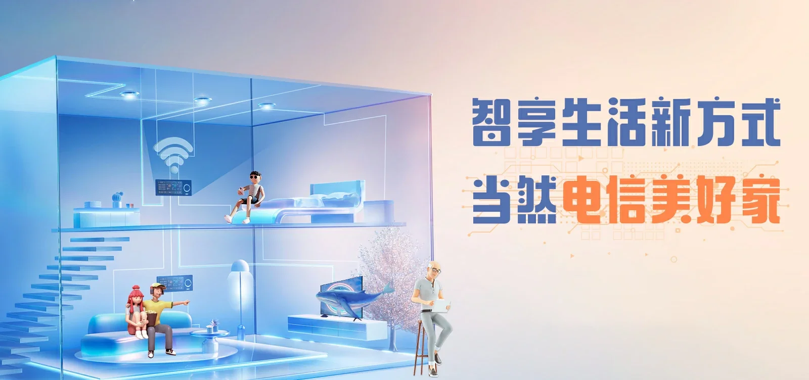 中国电信 国营金安农场电信宽带 宽带套餐